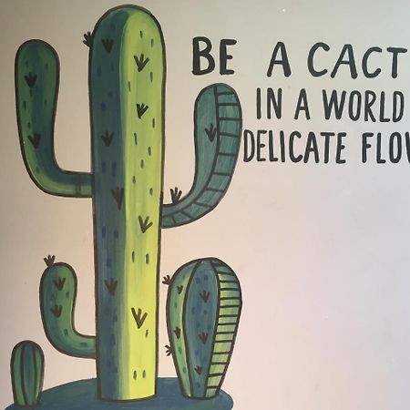 Bajas Cactus Hostel Cabo San Lucas Buitenkant foto