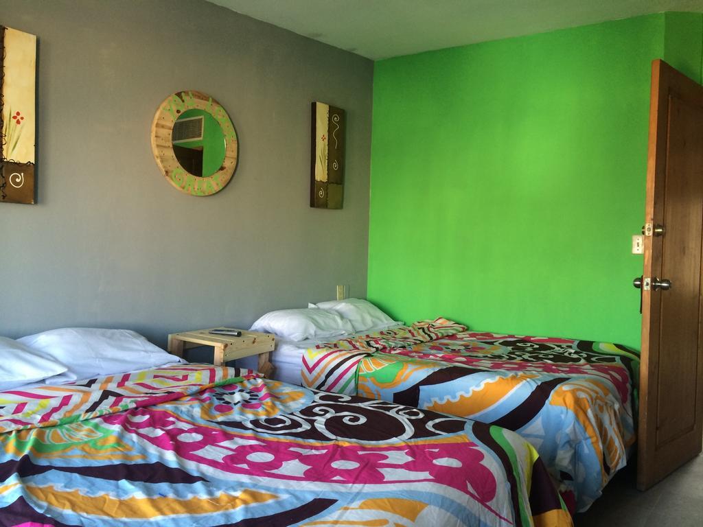 Bajas Cactus Hostel Cabo San Lucas Kamer foto