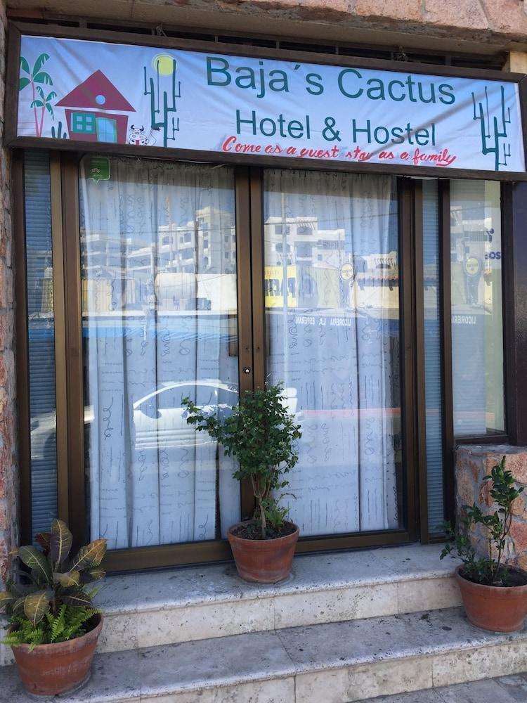 Bajas Cactus Hostel Cabo San Lucas Buitenkant foto