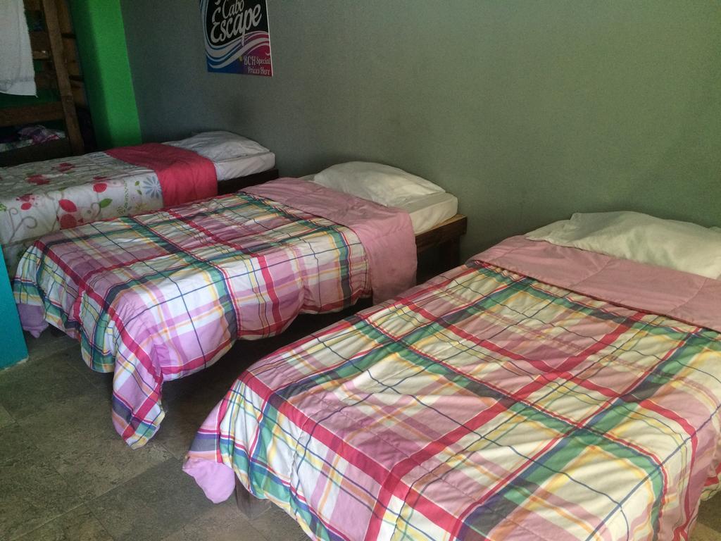 Bajas Cactus Hostel Cabo San Lucas Kamer foto