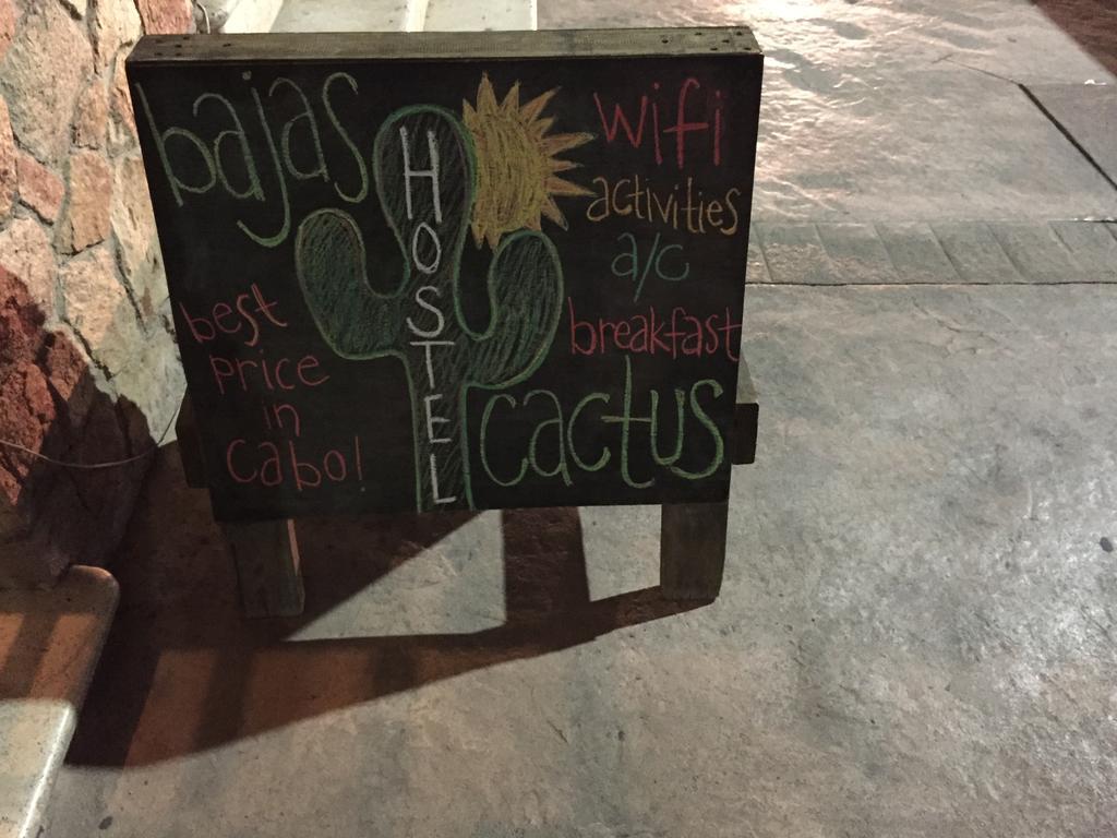 Bajas Cactus Hostel Cabo San Lucas Buitenkant foto