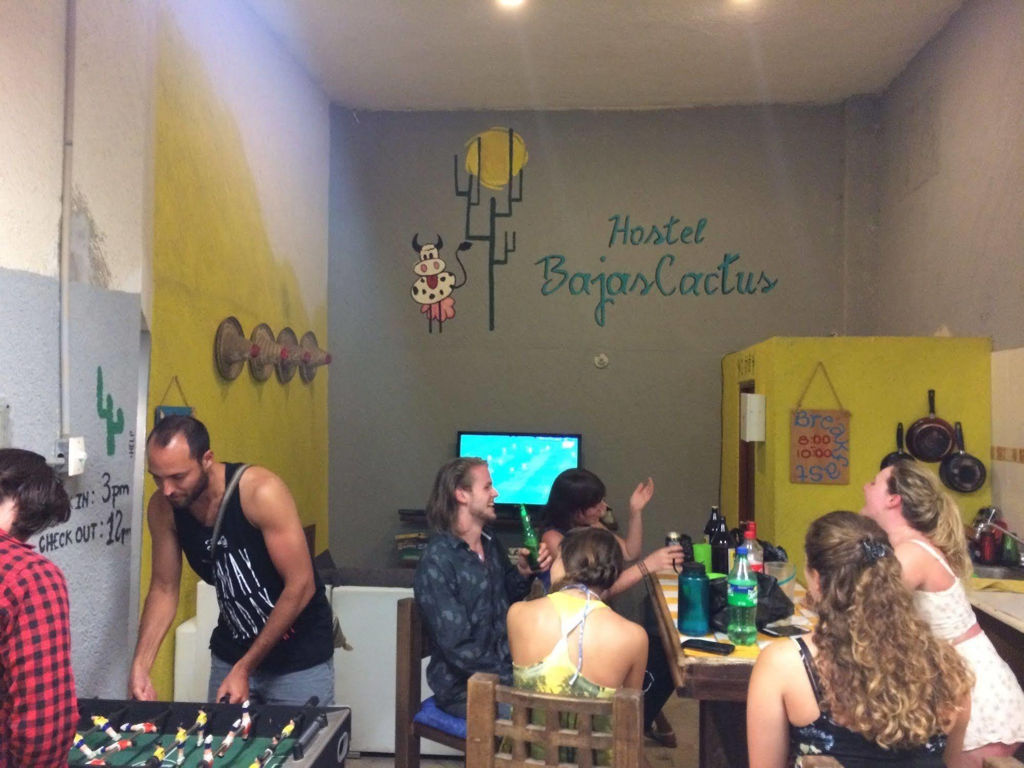 Bajas Cactus Hostel Cabo San Lucas Buitenkant foto