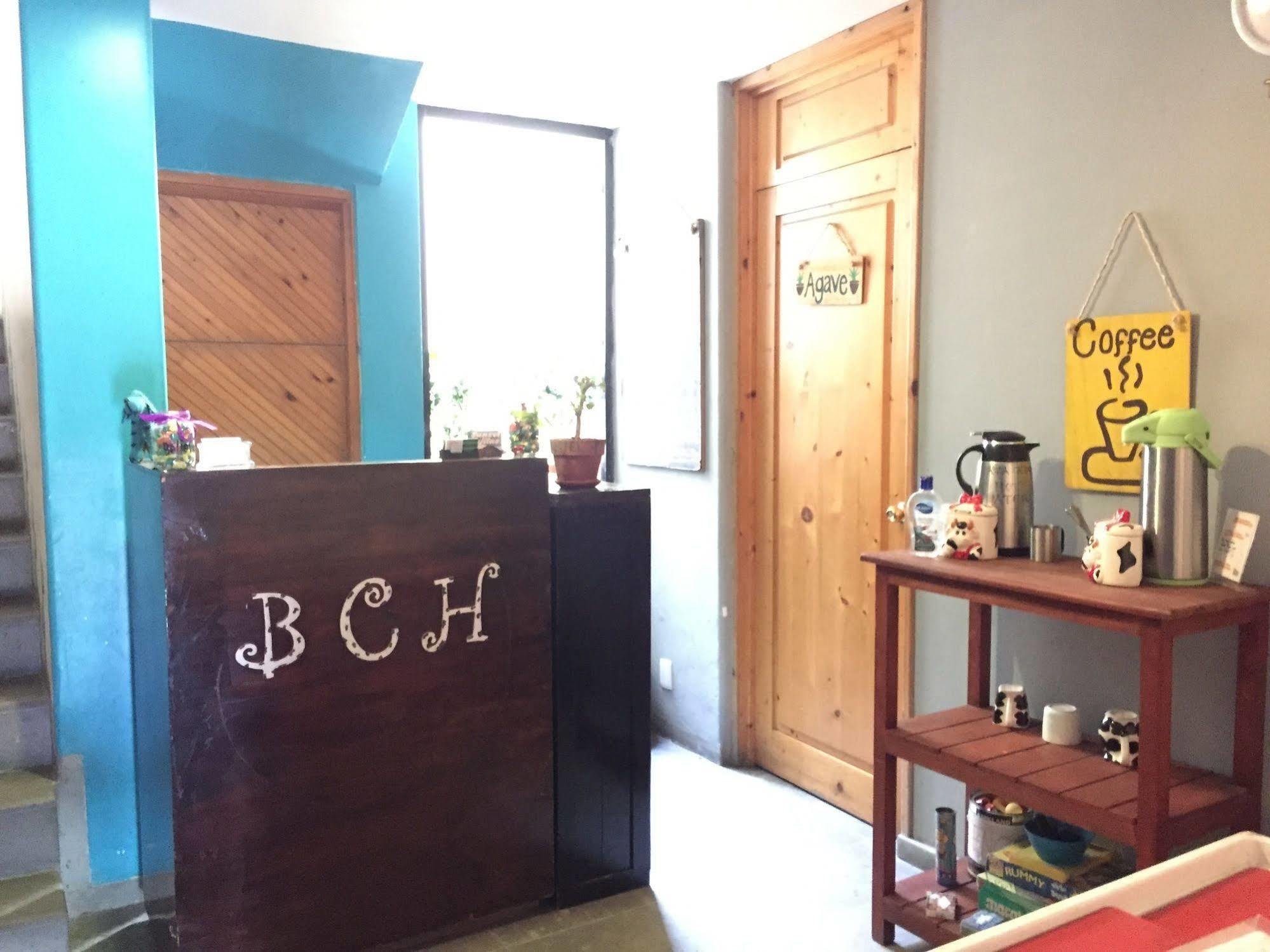 Bajas Cactus Hostel Cabo San Lucas Buitenkant foto