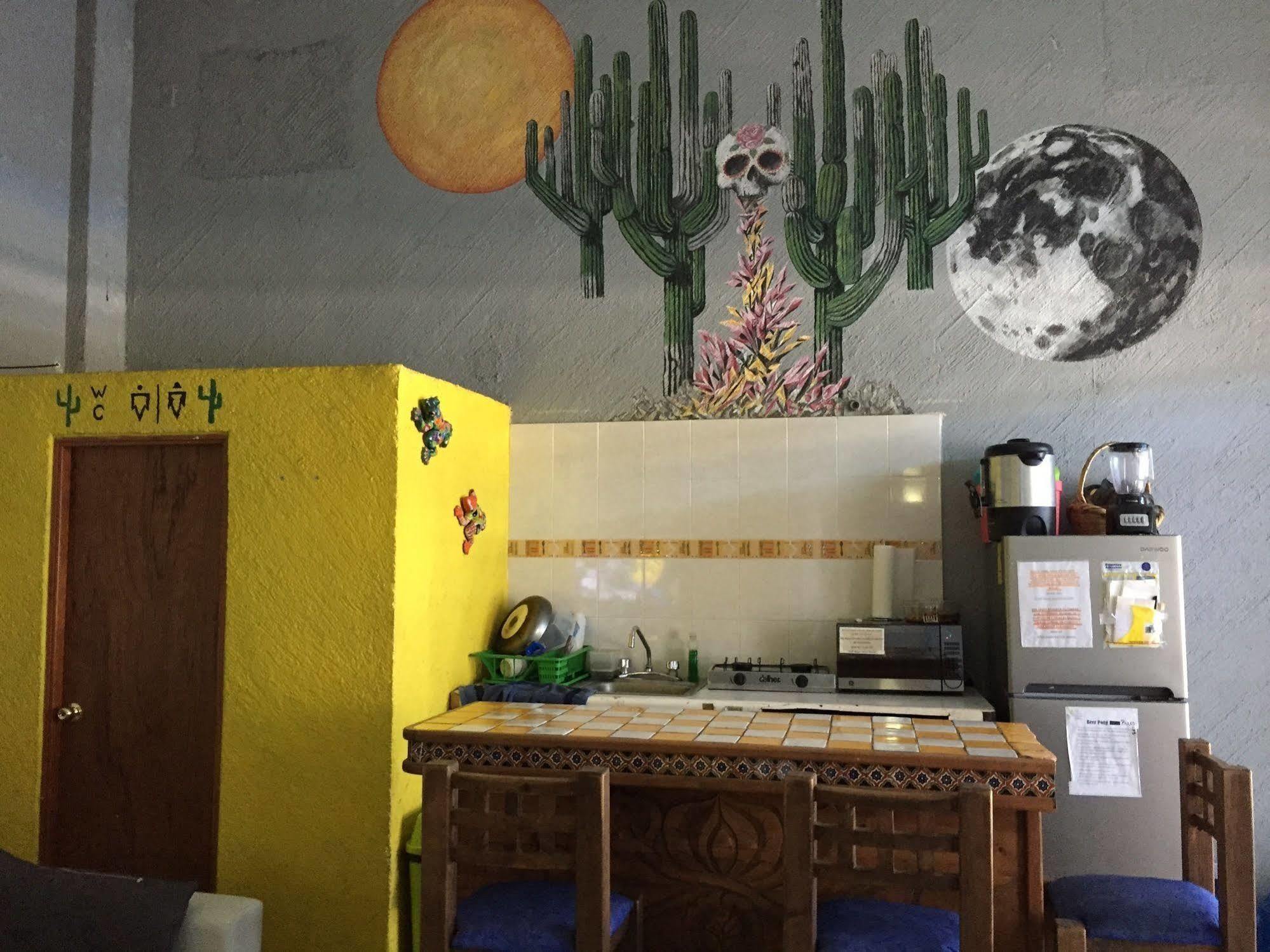 Bajas Cactus Hostel Cabo San Lucas Buitenkant foto