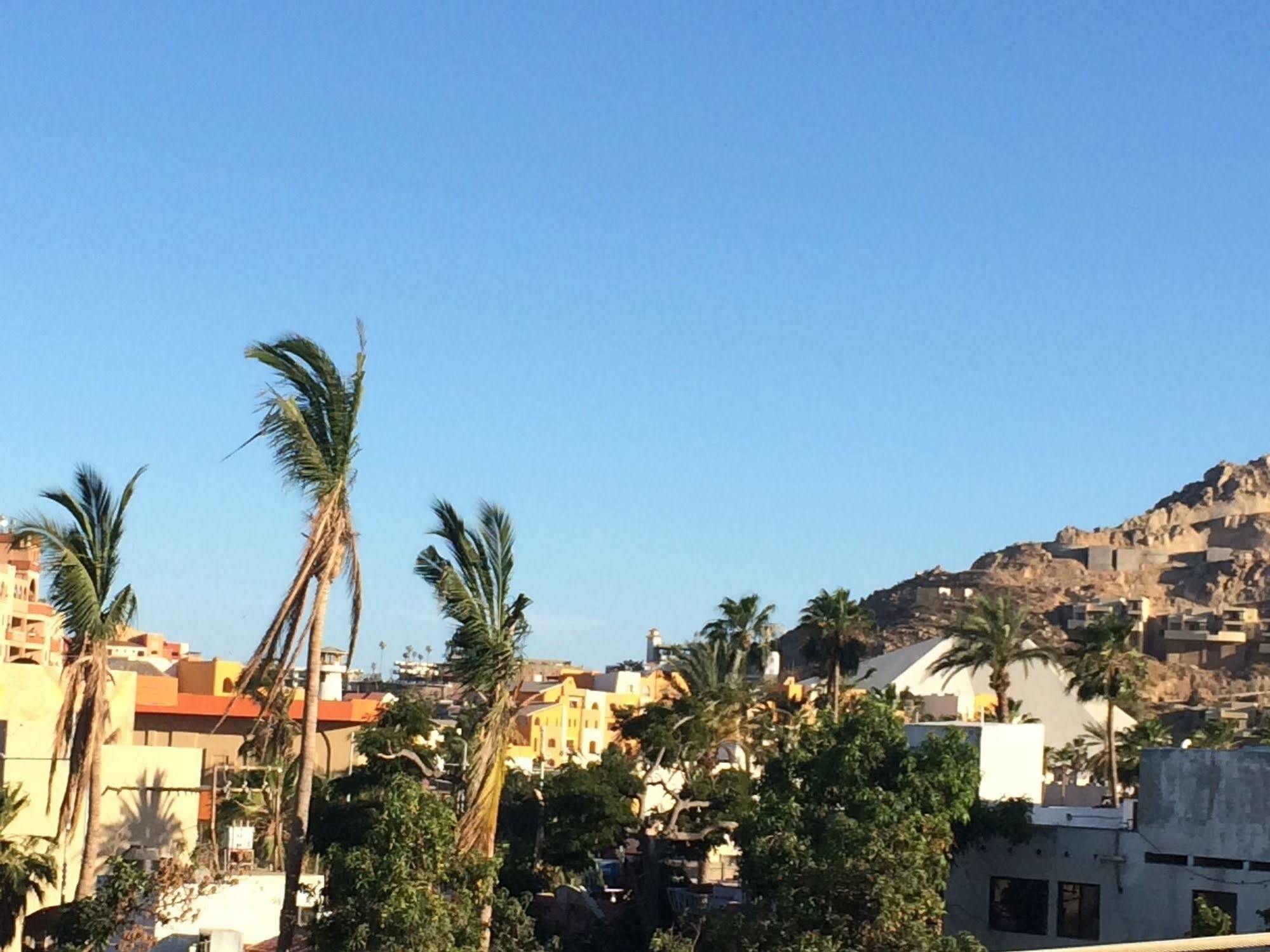 Bajas Cactus Hostel Cabo San Lucas Buitenkant foto