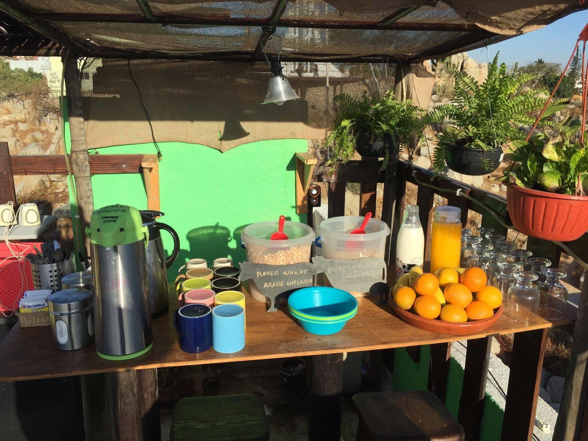Bajas Cactus Hostel Cabo San Lucas Buitenkant foto