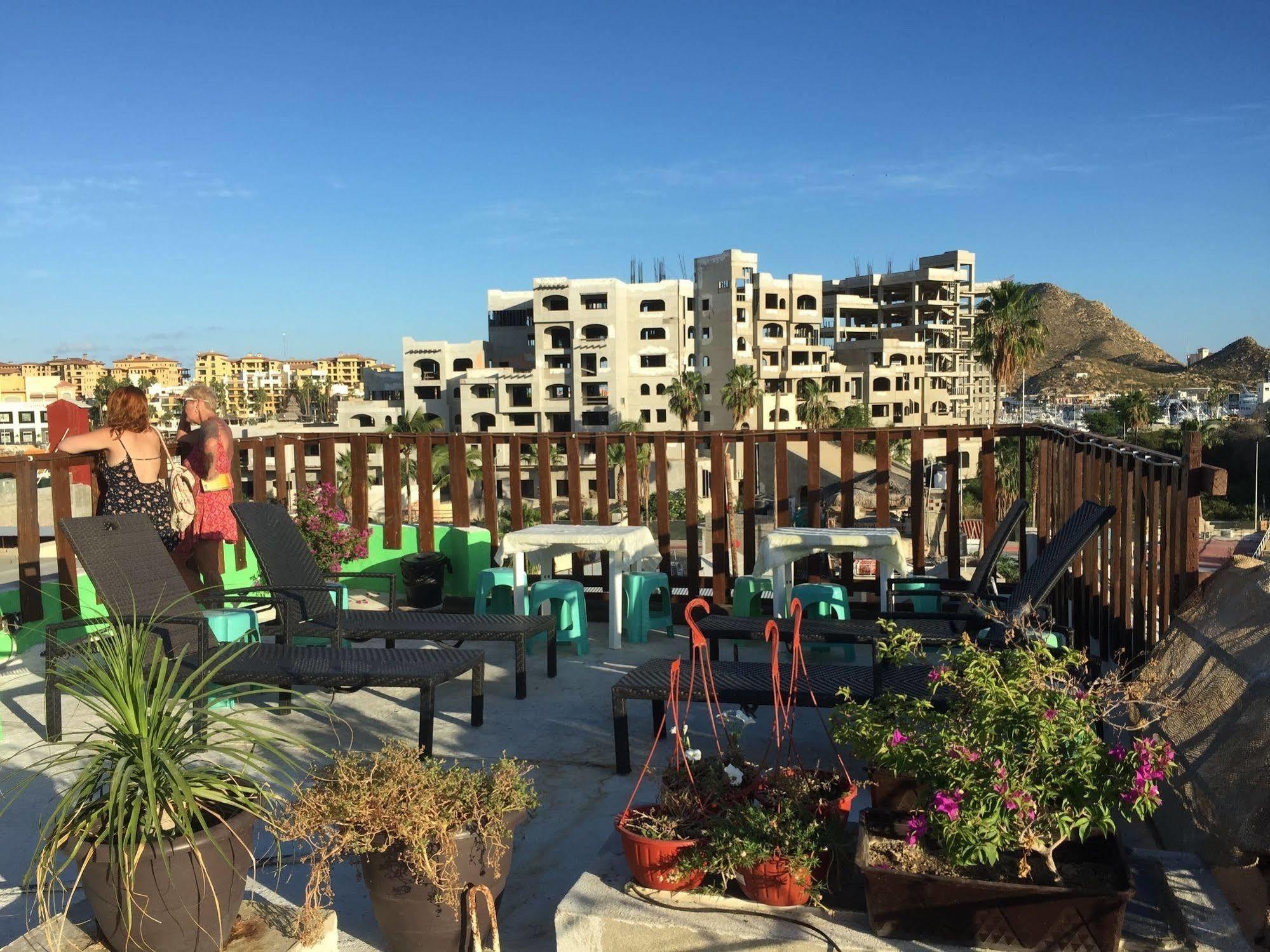 Bajas Cactus Hostel Cabo San Lucas Buitenkant foto