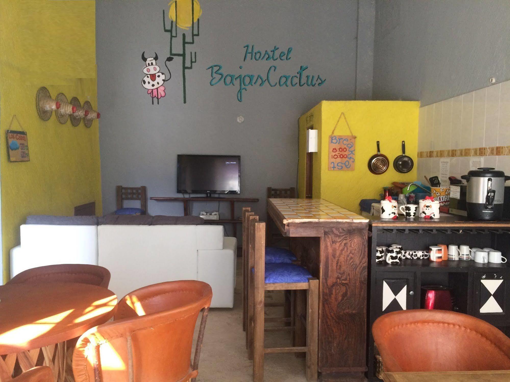 Bajas Cactus Hostel Cabo San Lucas Buitenkant foto