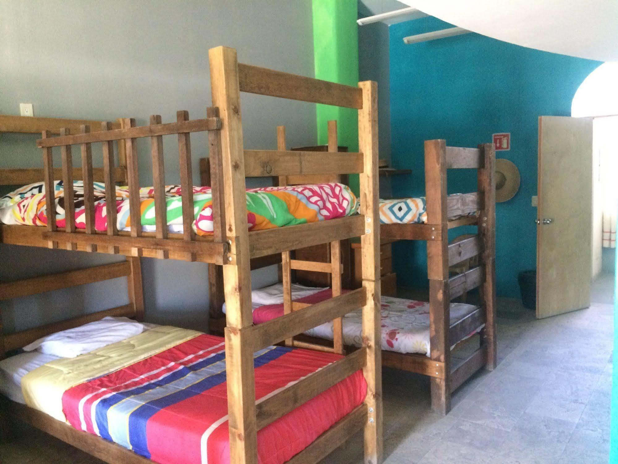 Bajas Cactus Hostel Cabo San Lucas Buitenkant foto