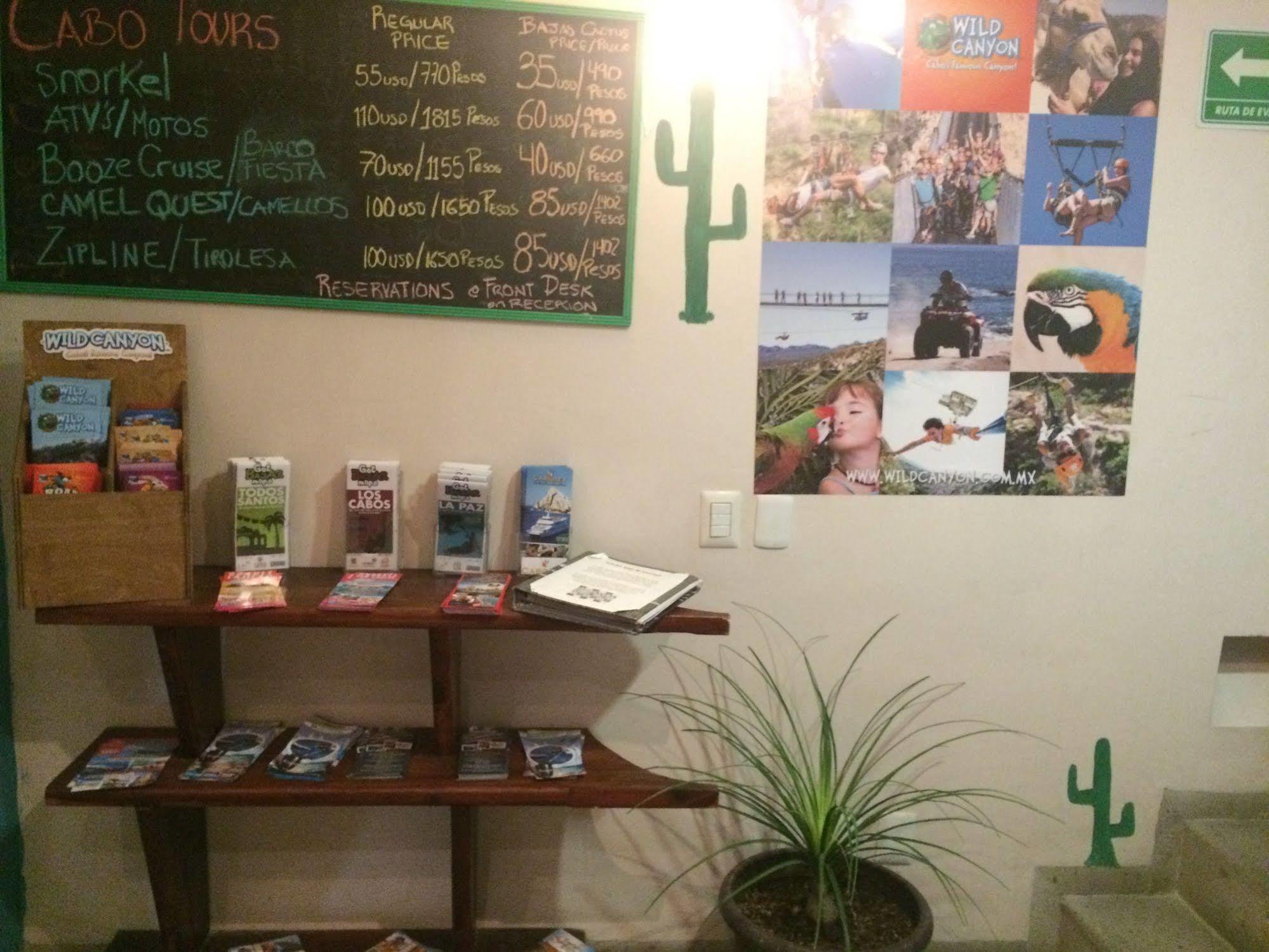 Bajas Cactus Hostel Cabo San Lucas Buitenkant foto