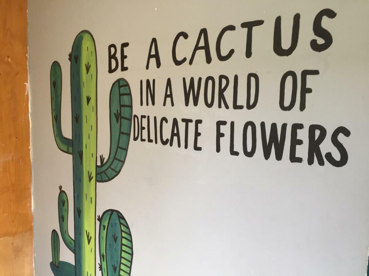 Bajas Cactus Hostel Cabo San Lucas Buitenkant foto